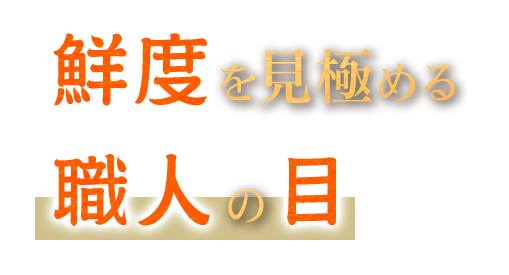 鮮度を見極める 職人の目